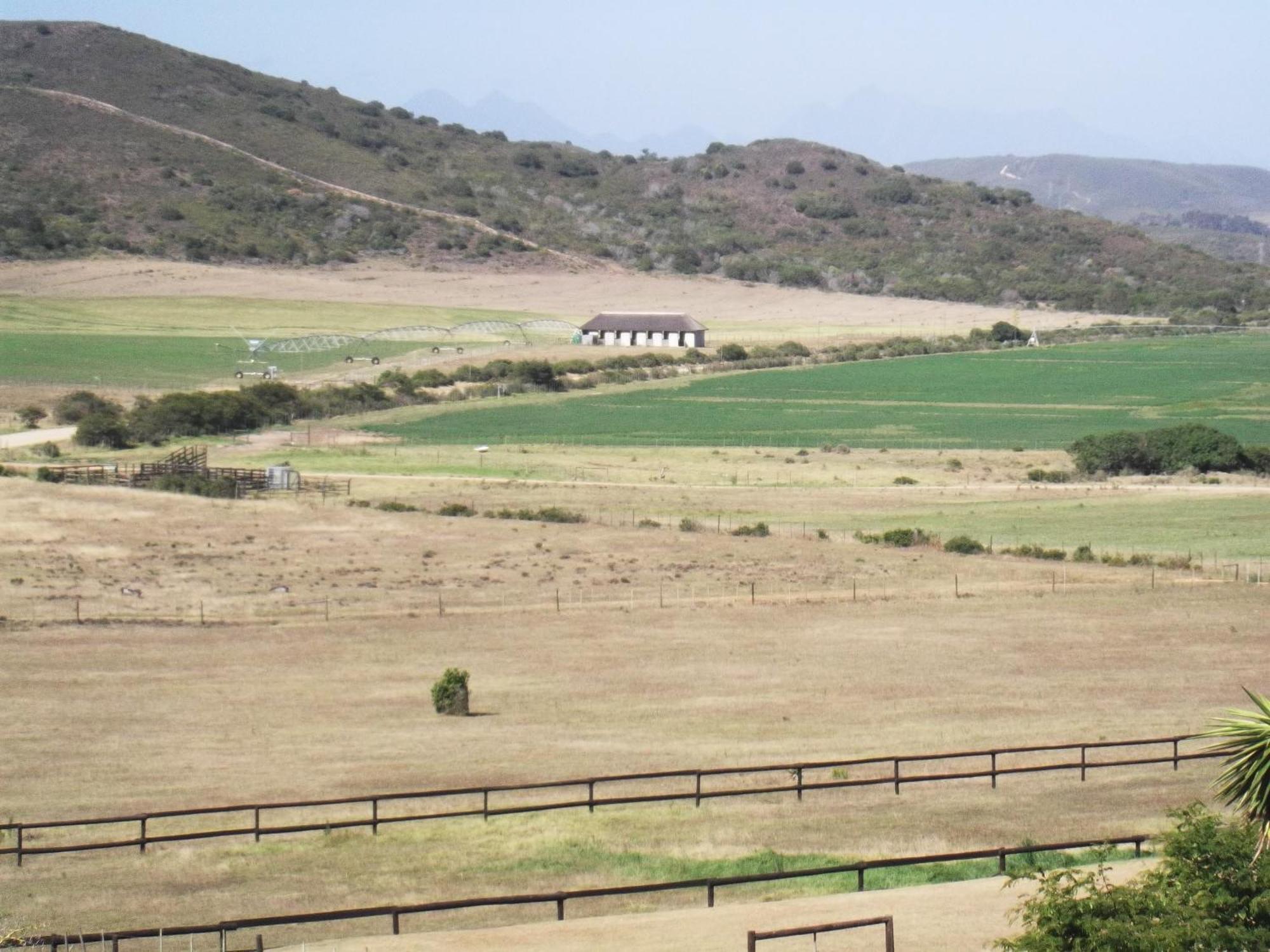 Outeniquabosch Lodge Hartenbos Dış mekan fotoğraf